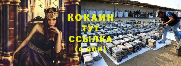 стафф Тайга