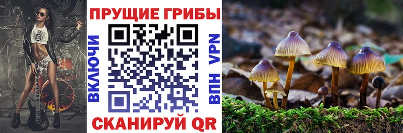Псилоцибиновые грибы MAGIC MUSHROOMS  Суздаль 